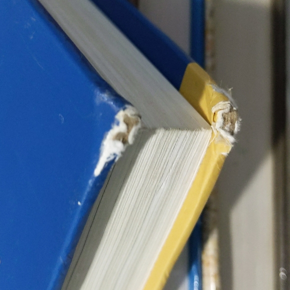 Books**** FSU Mishkin The economics of money, banking and financial markets book - Picture 2 of 3